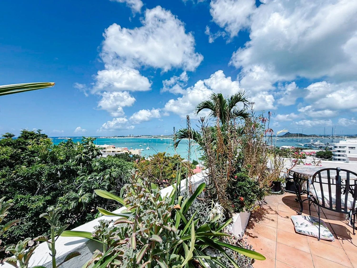 Terrace garden detail with bay view through palms